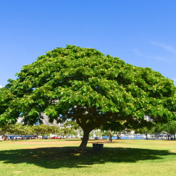 本当に満足できる相談ができる税理士は原・久川会計事務所　記帳や簿記会計だけでは経営アドバイスはできません